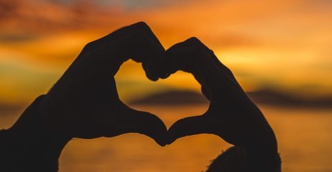 La vie de rêve … rêve d’une Vie