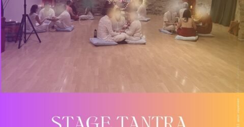 L’Alchimie des Âmes : quand l’amour devient expérience vivante